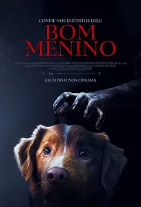 Pôster do filme Bom Menino