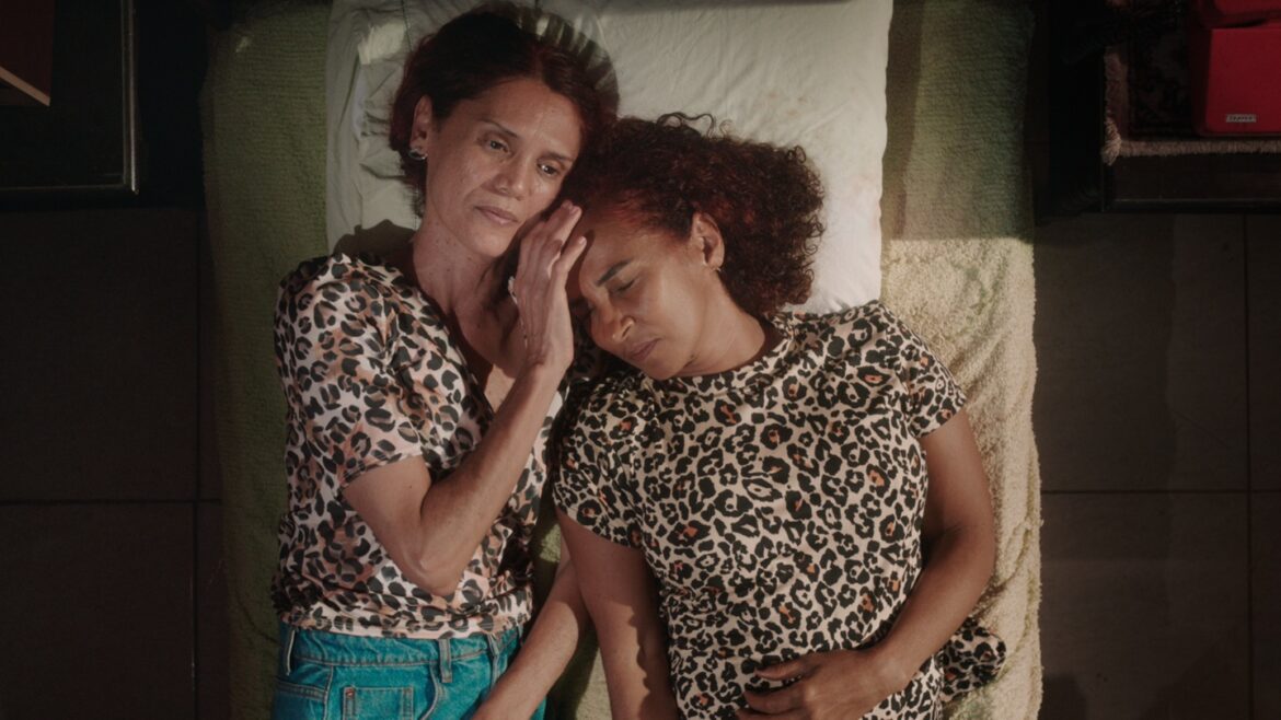 15º OLHAR DE CINEMA – CONFIRA OS PREMIADOS!