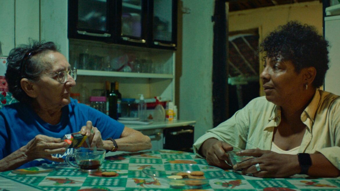 CRÍTICA – YELLOW CAKE (15º OLHAR DE CINEMA)